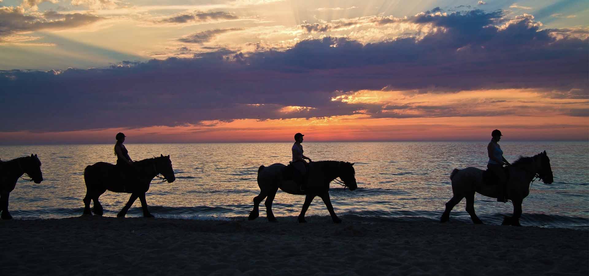 La Dama Macari B&B Servizi In Struttura E Convenzionati.